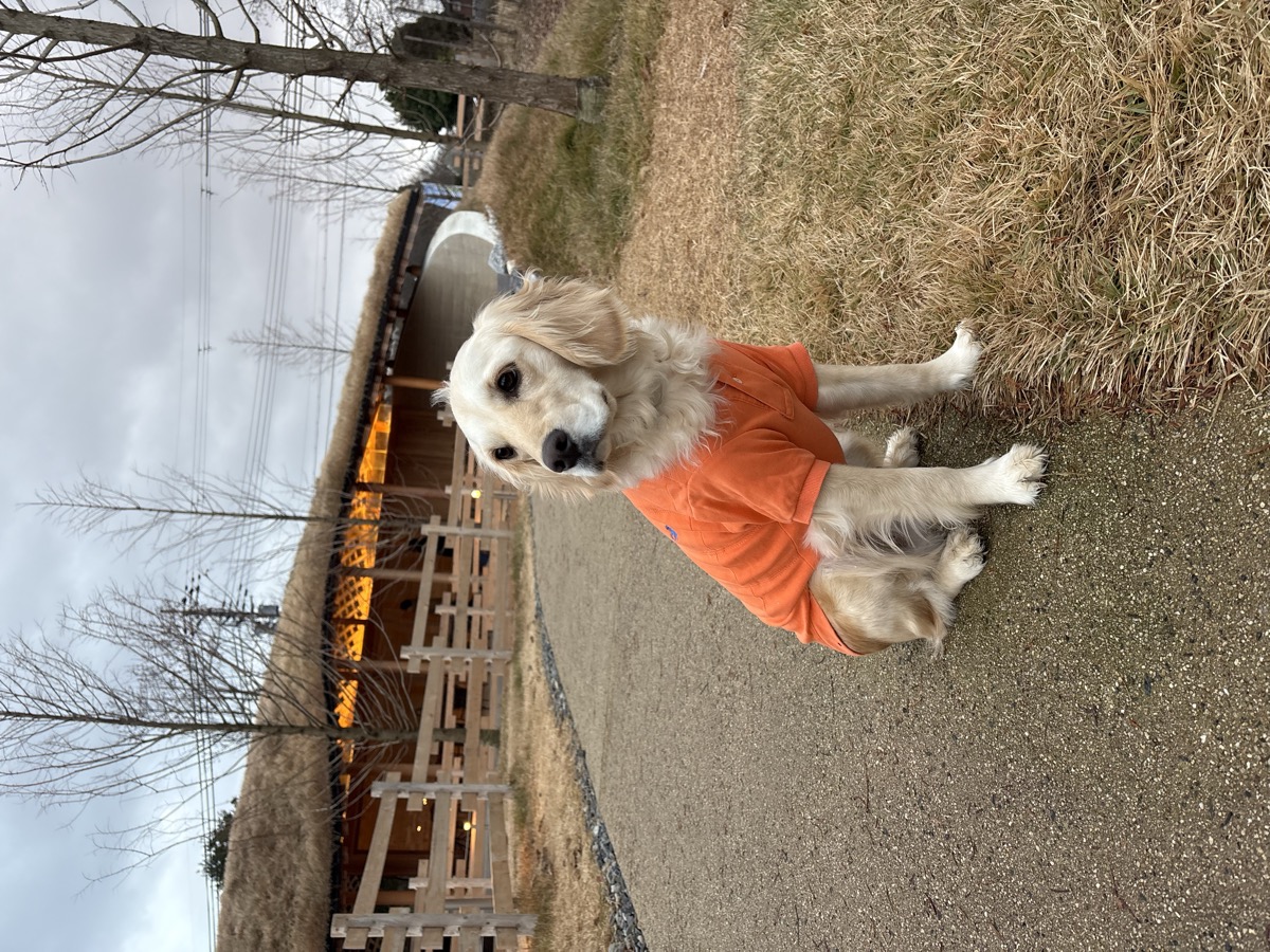 Polo Ralph Lauren ポロシャツ 公園 カフェ